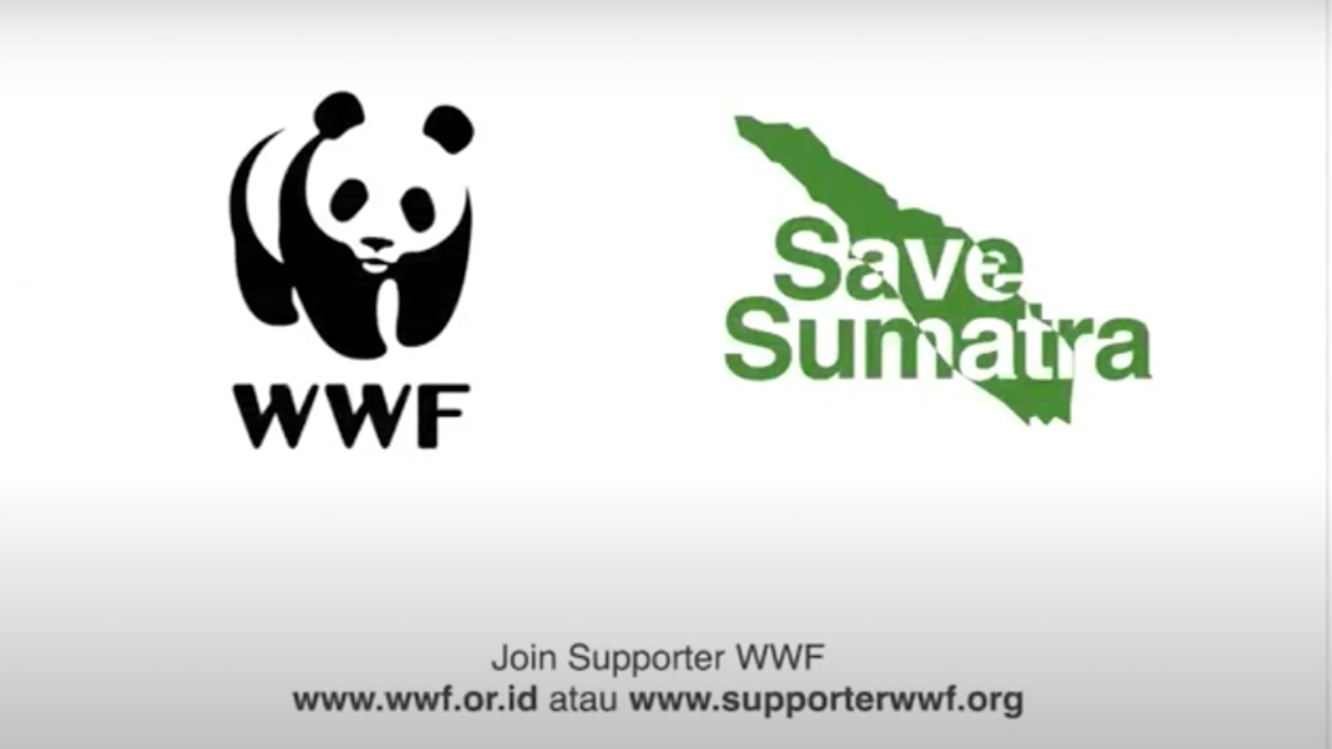 World Wildlife Fund. Doodling untuk selamatkan hutan Sumatera